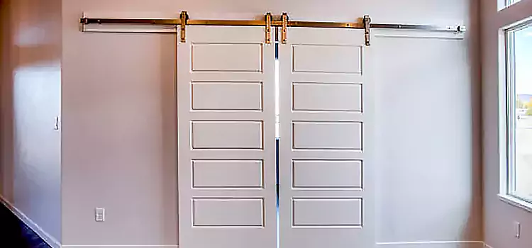 Glass Barn Door with Installation Hardware Kit Houma