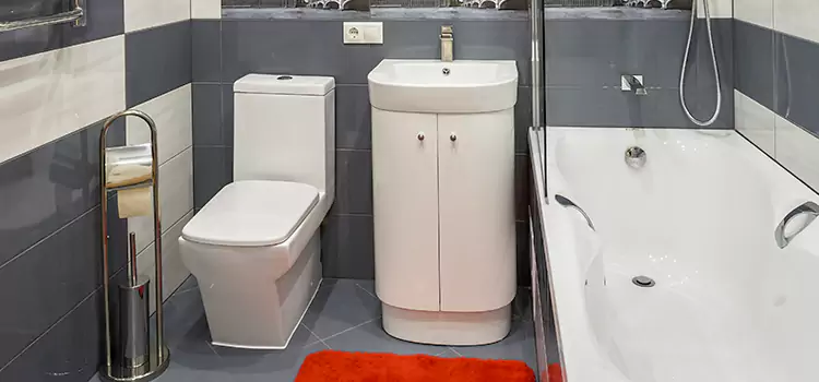 Hansgrohe Shaving Mirror Houma
